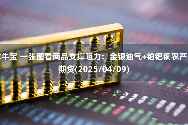 掌牛宝 一张图看商品支撑阻力：金银油气+铂钯铜农产品期货(2025/04/09)