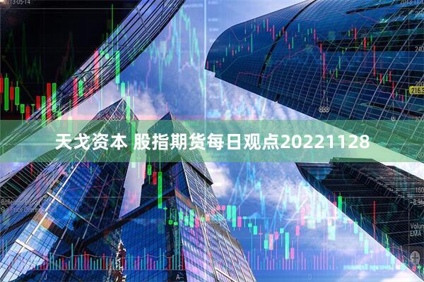 天戈资本 股指期货每日观点20221128