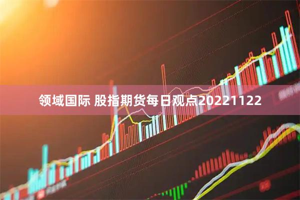 领域国际 股指期货每日观点20221122