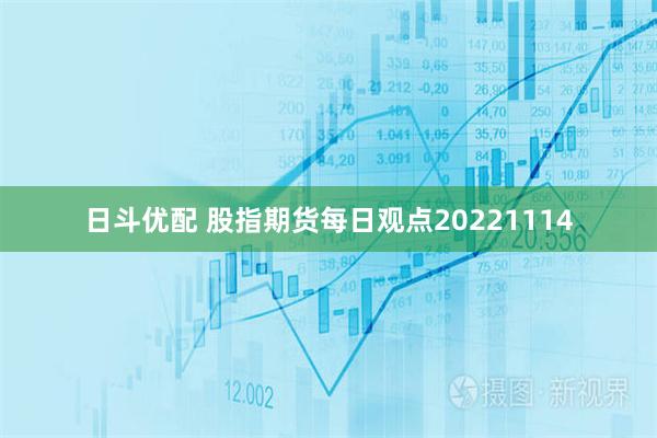 日斗优配 股指期货每日观点20221114
