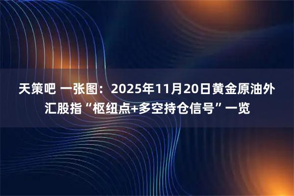 天策吧 一张图：2025年11月20日黄金原油外汇股指“枢纽点+多空持仓信号”一览
