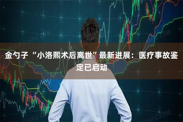 金勺子 “小洛熙术后离世”最新进展：医疗事故鉴定已启动