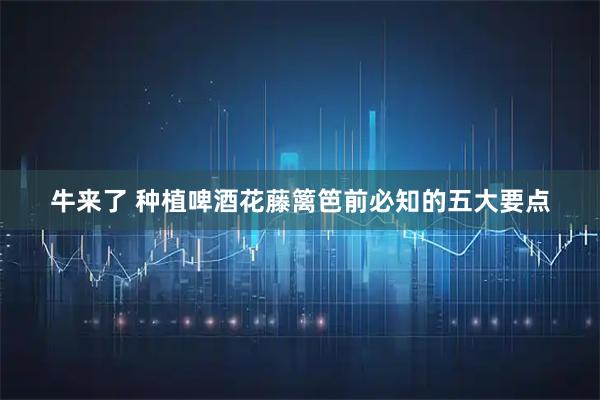 牛来了 种植啤酒花藤篱笆前必知的五大要点