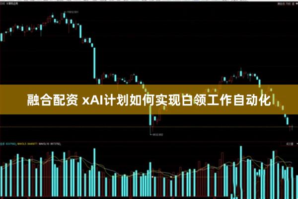 融合配资 xAI计划如何实现白领工作自动化