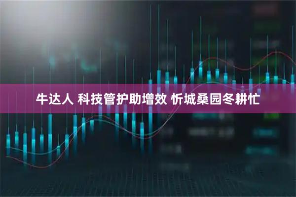 牛达人 科技管护助增效 忻城桑园冬耕忙