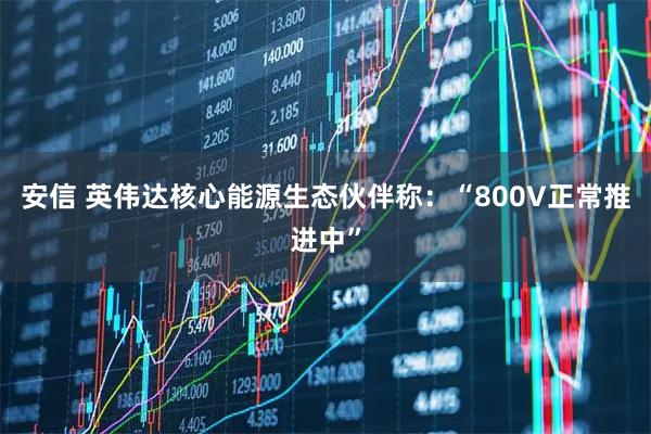 安信 英伟达核心能源生态伙伴称：“800V正常推进中”